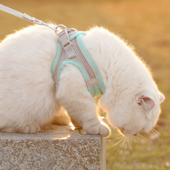 PawSafe™ Pet Harness