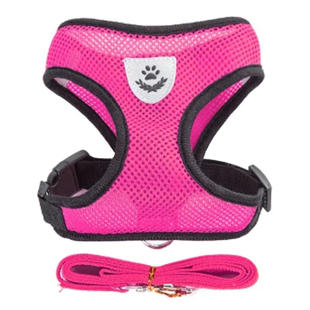 PawVenture™ Pet Harness