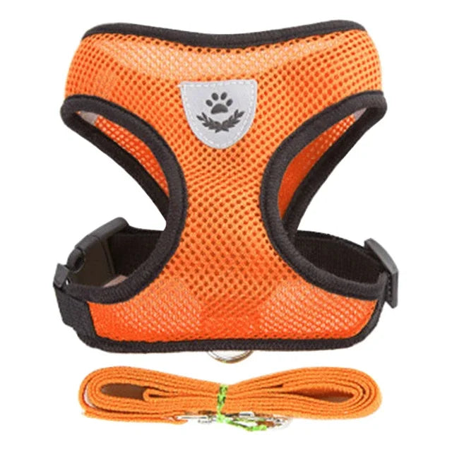 PawVenture™ Pet Harness
