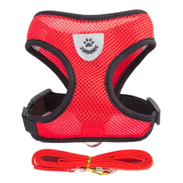 PawVenture™ Pet Harness