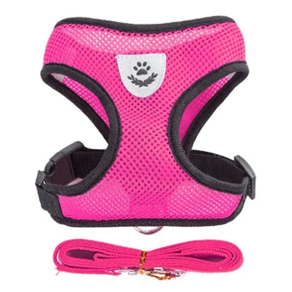PawVenture™ Pet Harness
