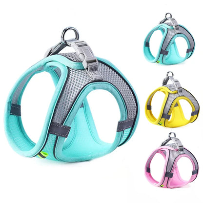 PawSafe™ Pet Harness