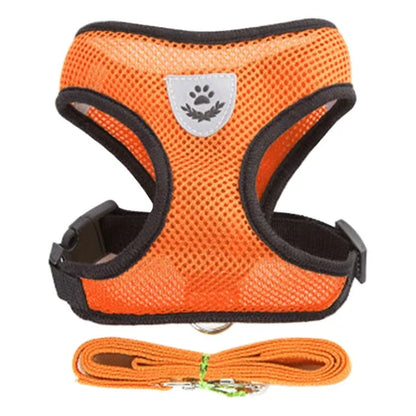 PawVenture™ Pet Harness