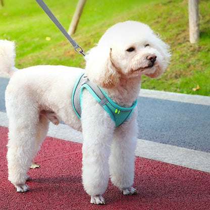 PawSafe™ Pet Harness